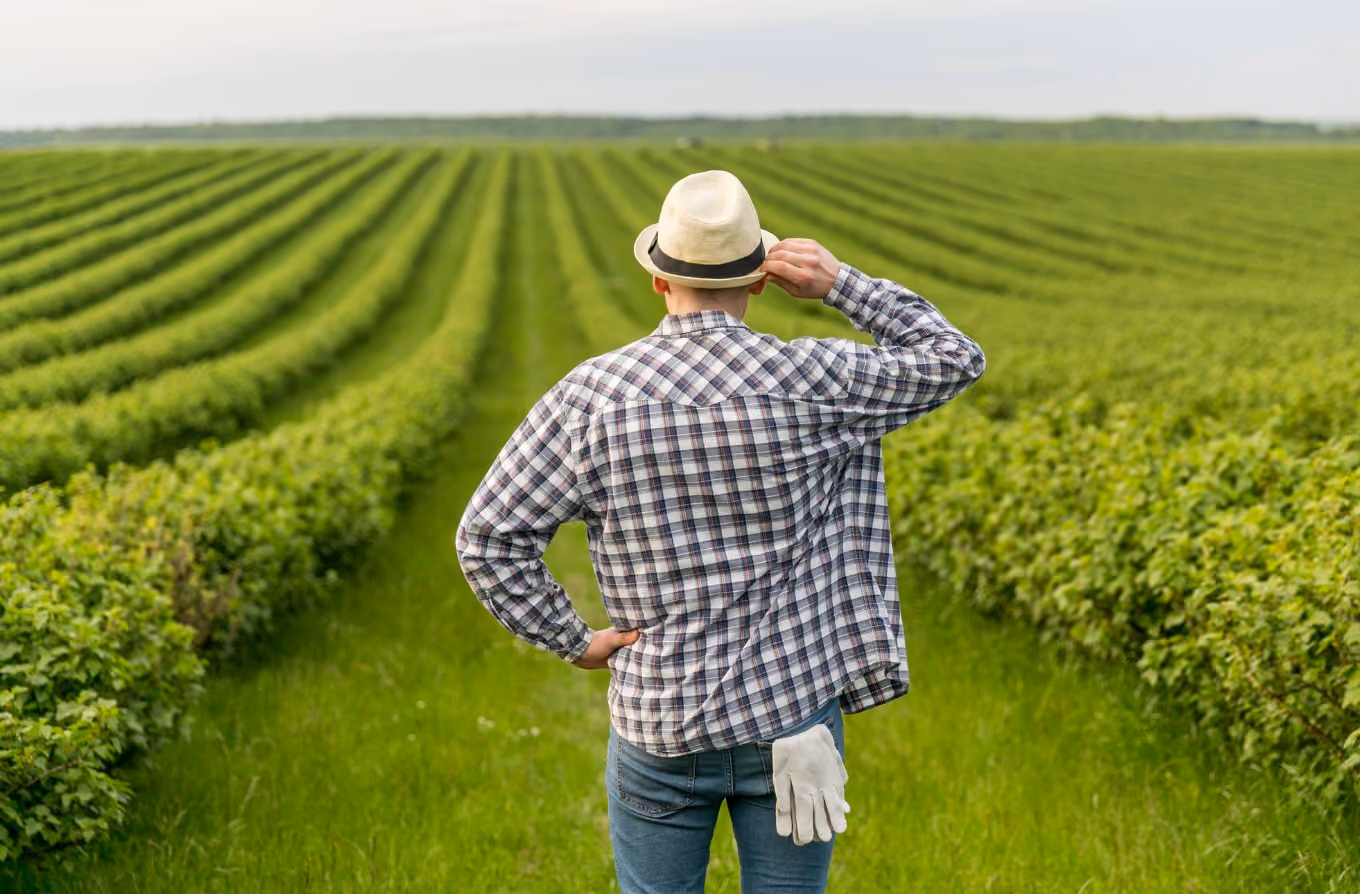 Farmert ábrázoló hátulnézetben, kalapot visel, kezében munkakesztyű, zöld ültetvény előtt áll.